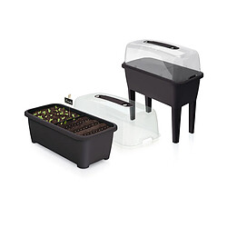 Avis Huerto Urbano con invernadero