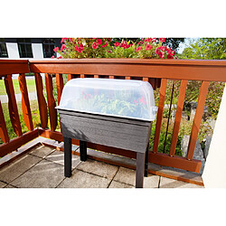 Avis Habitat Et Jardin Kit de 3 carrés potagers Urban sur pieds avec serre - 75 x 37 x 65 cm