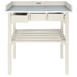 Farm Folklore Table de jardinage en pin et zinc blanc.