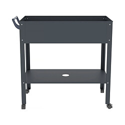 Avis Habitat Et Jardin Table de rempotage Hibiscus - 82 x 43 x 83 cm - Anthracite