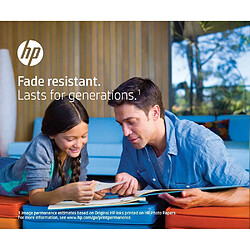HEWLETT PACKARD Encre HP 343 - Couleur