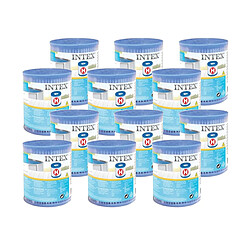 INTEX Cartouches de Filtration H - Lot de 12