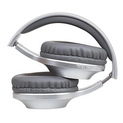 Panasonic RPHX220BDES - Argenté