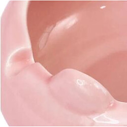 Avis Cendrier Universel - Rose