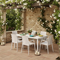 Grand Soleil Chaises jardin - Lot de 20