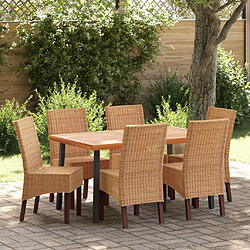 vidaXL Rotin Chaises lot de 6 marron