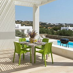 Grand Soleil Chaises Cream - Anis vert (Lot de 22)