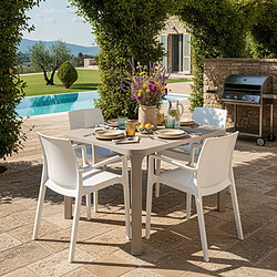 Grand Soleil Chaises Cream - Blanc