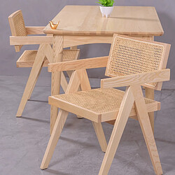 Nest Dream Chaise Compass Rotin