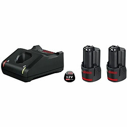 Avis Bosch Kit chargeur et batteries 12V