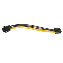 Câble adaptateur secteur PCI-E 6 à 8 Pin