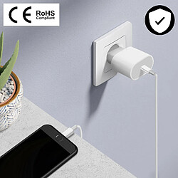 APPLE Chargeur USB-C 20W + Câble Lightning - Blanc pas cher