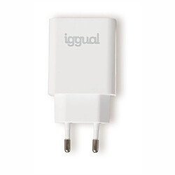 Chargeur secteur téléphone Iggual