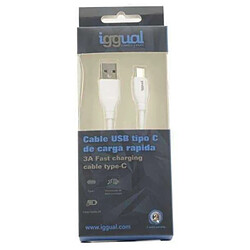 iggual Chargeur mural IGG317181 - Blanc