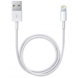 Little Boutik Chargeur Secteur 2A + Câbles USB Lightning