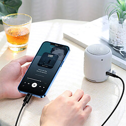 Avis Belkin Câble Audio Lightning vers Jack 3,5mm Son Haute Qualité 90cm MFi Noir