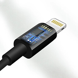 Acheter Belkin Câble Audio Lightning vers Jack 3,5mm Son Haute Qualité 90cm MFi Noir