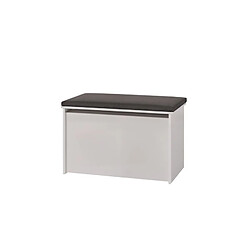 1001jouets Coffre à jouets Diane - Gris