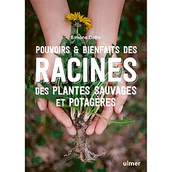Pouvoirs & bienfaits des racines des plantes sauvages et potagères
