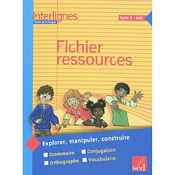Interlignes, étude de la langue : cycle 3, CM2 : fichier ressources - Occasion