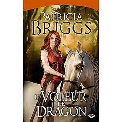 Le voleur de dragon