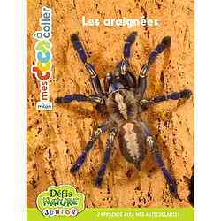 Bioviva : Les araignées