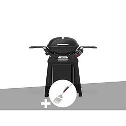 Weber Q 2800N