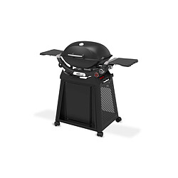 Avis Weber Q 2800N