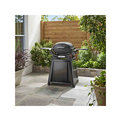 Acheter Weber Q 2800N