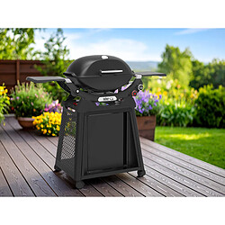 Weber Q 2800N