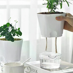 Jardinière Paresseuse en Plastique Transparent