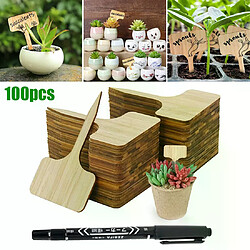 Étiquettes pour plantes en forme de T - 100 pièces