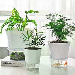 Jardinière Paresseuse en Plastique Transparent