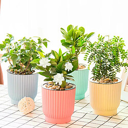 Jardinière Plastique Auto-Absorbante