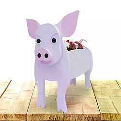 Jardinière succulente pour animaux - PVC