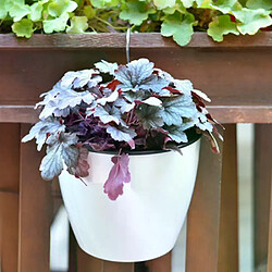 Jardinière Auto-Arrosage