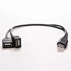 Hub USB 2.0 - 2 ports