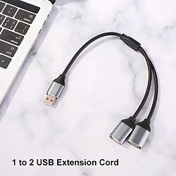 Hub USB 1 vers 2