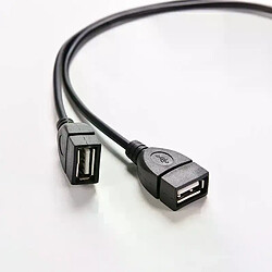Avis Hub USB 2.0 - 2 ports