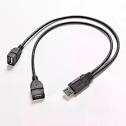 Hub USB 2.0 - 2 ports