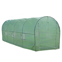 Monstershop Serre Polytunnel 25mm 6m x 3m