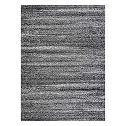 RUGSX Tapis SILVER SAHARA gris 300x400 cm