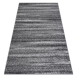 RUGSX Tapis SILVER SAHARA gris 300x400 cm