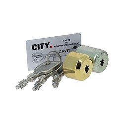Iseo cylindre de serrure Cavith A2P