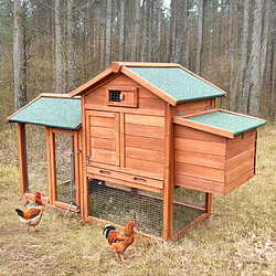 BELLA PET Poulailler en bois de jardin extérieur pour poules pondeuses 152x62x92 Marf