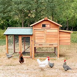 BELLA PET Poulailler en bois de jardin extérieur pour poules pondeuses 152x62x92 Marf