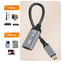 Acheter LinQ Adaptateur Vidéo USB C vers HDMI - 4K Noir