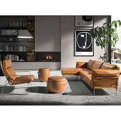 Acheter Angel Cerda Canapé d'angle gauche en cuir camel