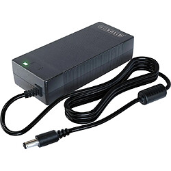 GO SOLID! VEG65B-300FCB Chargeur Vélo Électrique