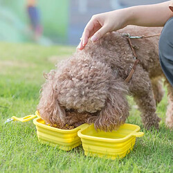 Gamelle pour chien